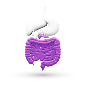 Gastroenterology – Category Icon 