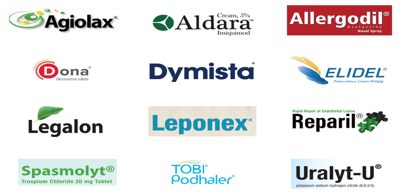 Our Portfolio